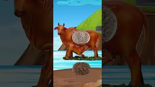 🐄Angry cow care video - Mini cow care videos 🐄🐄