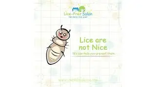 Worried about your Child's Head Lice ? | Professional & affordable lice Removal