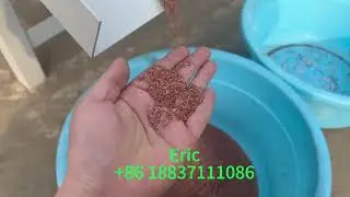 Why Scrap Dealers Love This Mini Copper Wire Granulator? (Actual Test)