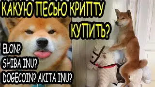 Какую криптовалюту купить? ELON? Shiba Inu? Akita Inu?
