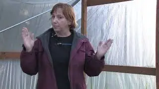 How to Smother a Tick