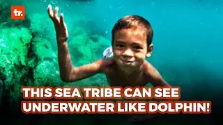 The People of This Sea Tribe Can See Underwater Like Dolphin!