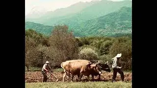 მაჟიეთი/mazhieti