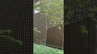 Mysteri&ouml;ses Netzhaus l&auml;sst Fragen offen #architektur #frage #stadt