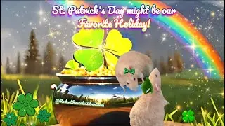 RatTastic Little Leprechauns #petrats