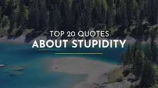 TOP 20 Quotes about Stupidity ~ Quotes About Change ~ Happiness Quotes