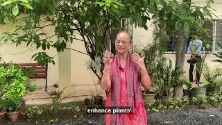 Plant Modification by Ms Sukhvinder Sandhu