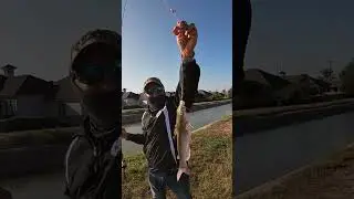 P&ecirc;che en eau douce dans ce plan d'eau. #p&ecirc;che #p&ecirc;cheaubar #poisson #leurre