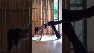 Yoga Classes at Om Studio