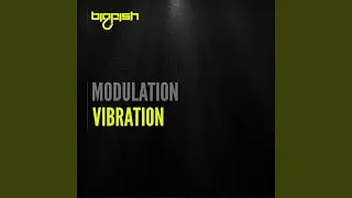 Vibration (Original Mix)