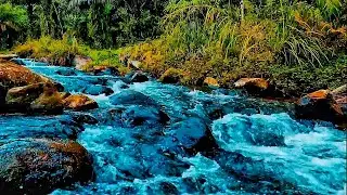 Relaxing water sounds, White noise for sleeping, Meditation, Healing sounds, ASMR