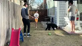 Ace-Intro Long Line Recall