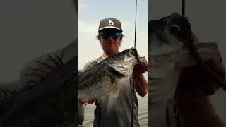 The Big Fish Magnet | MagBoosa 8.0 | RESTOCK
