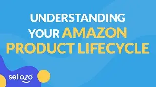 Understanding Your Amazon Product Lifecycle