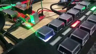 TALLY LIGHT - LANC Command - OBS STUDIO 29 - PTZ Controller