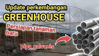 Part 2 | Update perkembangan Greenhouse hidroponik pipa gavanis