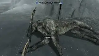 The Elder Scrolls V Skyrim часть 35
