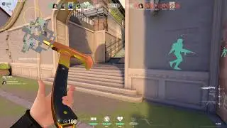 HOW TO DODGE SMOKE AND KILL ENEMIES//OP SAGE//TIPS AND TRICKS.