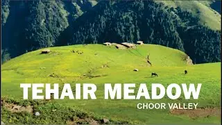 Tehair Meadow(تہیڑمیڈو) || Choor Valley KpK || Unexplored Beauty Of Kpk || Tour Sure || Hazara KPK