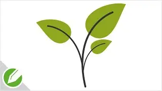 Custom Leaf Drawing with CorelDraw | Flat Vector Style | Drawing | CorelDraw Tutorial