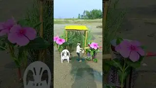 Nature videography ideas #shorts #videography #creative