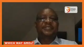 Dr. Mugiira: Public info about GMOs is informed by negative reporting, deliberate misinformation