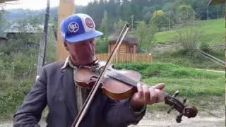 пид билою кобилою