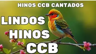 LINDOS HINOS CANTADOS CCB - 14/01/2026 - 480 HINOS 1,2,3,4,5,6,7,8,9,10,11,12,13,14,15,16,17,18,19