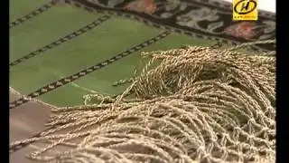 Контуры  Вернуть нельзя, увидеть!
