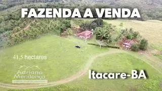 Fazenda em Itacaré-BA 41,5 ha