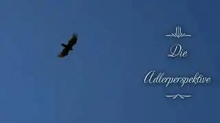 Dinge aus der Adlerperspektive betrachten
