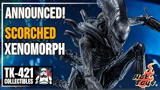 ANNOUNCED Hot Toys SCORCHED XENOMORPH! Announcement Photos Reaction
