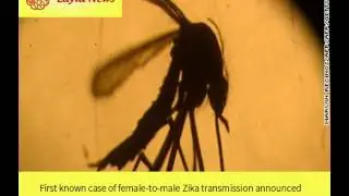 First known case of female-to-male Zika transmission announced |  By : CNN