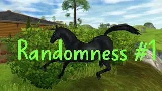 ~Randomness #1 ~ for 20 subscribers