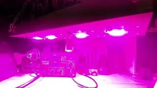 Hi.Sun 200w Full Spectrum Led Lamp