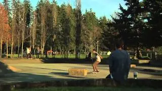 Ambleside Skatepark Project