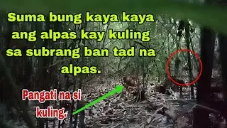 Labuyo na saksakan ng talino sa pag iwas sa mga pasuot.