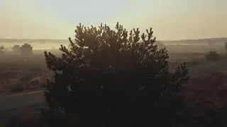 De veluwe in de ochtend  - Nederland // DJI Mavic 2 Pro Cinematic Footage