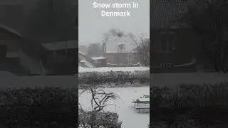 Snow storm in Denmark. I decided to just stay and work from home. #denmark #snow #winter