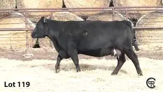 Lot 119  Post Rock