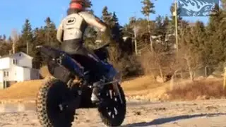 RB's RC's: Venom VMX 450 dirtbike on the beach