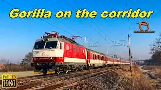 ZSSK 350 🚅 ► Gorilla ► 160km/h