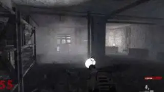 Call of Duty 5 - Zombie SOLO Level 62 (no glitches/cheats)