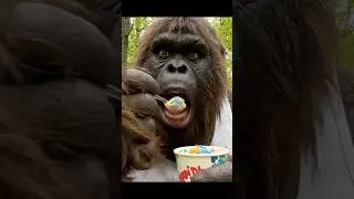 Trying dippin dots! #funny #bigfoot #bigfootvlog #vlog #foodreview #viral