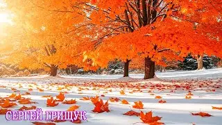 Зима ❄️Сборник ЛУЧШИХ Мелодий от которых мурашки по телу! Лучшие композиции Сергея Грищука#relax