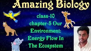 Our environment :energy flow in the ecosystem, class - 10, chapter - 5, part 3