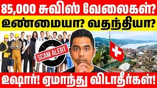 லட்சங்களில் சம்பளம்! - சுவிஸ் வைரல் செய்தியின் பின்னணி என்ன? | Switzerland Work Permit Truth