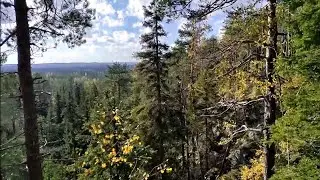 Pirunkirnu Juuka