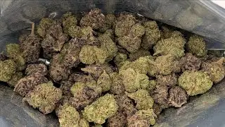 THCA SMALL BUDS | ESPRESSO CANDY☕🍬🍇 | CHEAP THCA SMALLS SECTION | THCA Review!! tsb small buds!