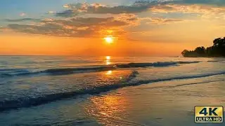 Night Ocean Waves ASMR in 4K | Relaxing Sea Sounds for Restful Sleep Vol 53